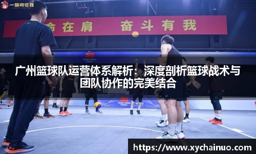广州篮球队运营体系解析：深度剖析篮球战术与团队协作的完美结合