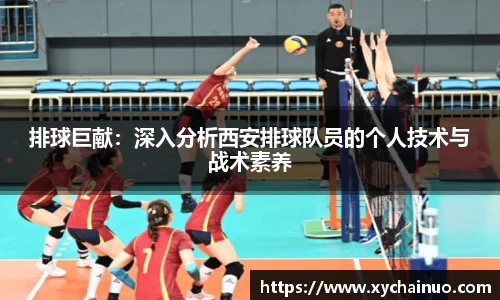 排球巨献：深入分析西安排球队员的个人技术与战术素养