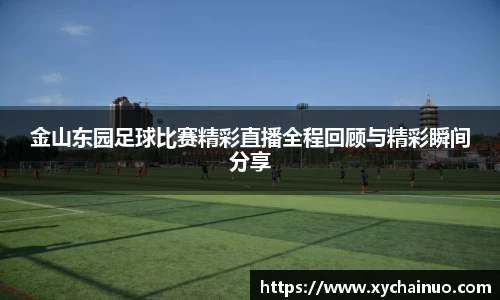 金山东园足球比赛精彩直播全程回顾与精彩瞬间分享