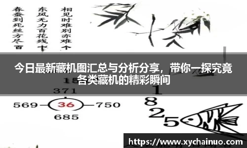 今日最新藏机图汇总与分析分享，带你一探究竟各类藏机的精彩瞬间